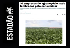 softech e Claudio Vasques na Estad�o